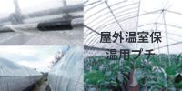 屋外温室保温用プチプチ・エアーキャップならここ - 梱包資材専門店